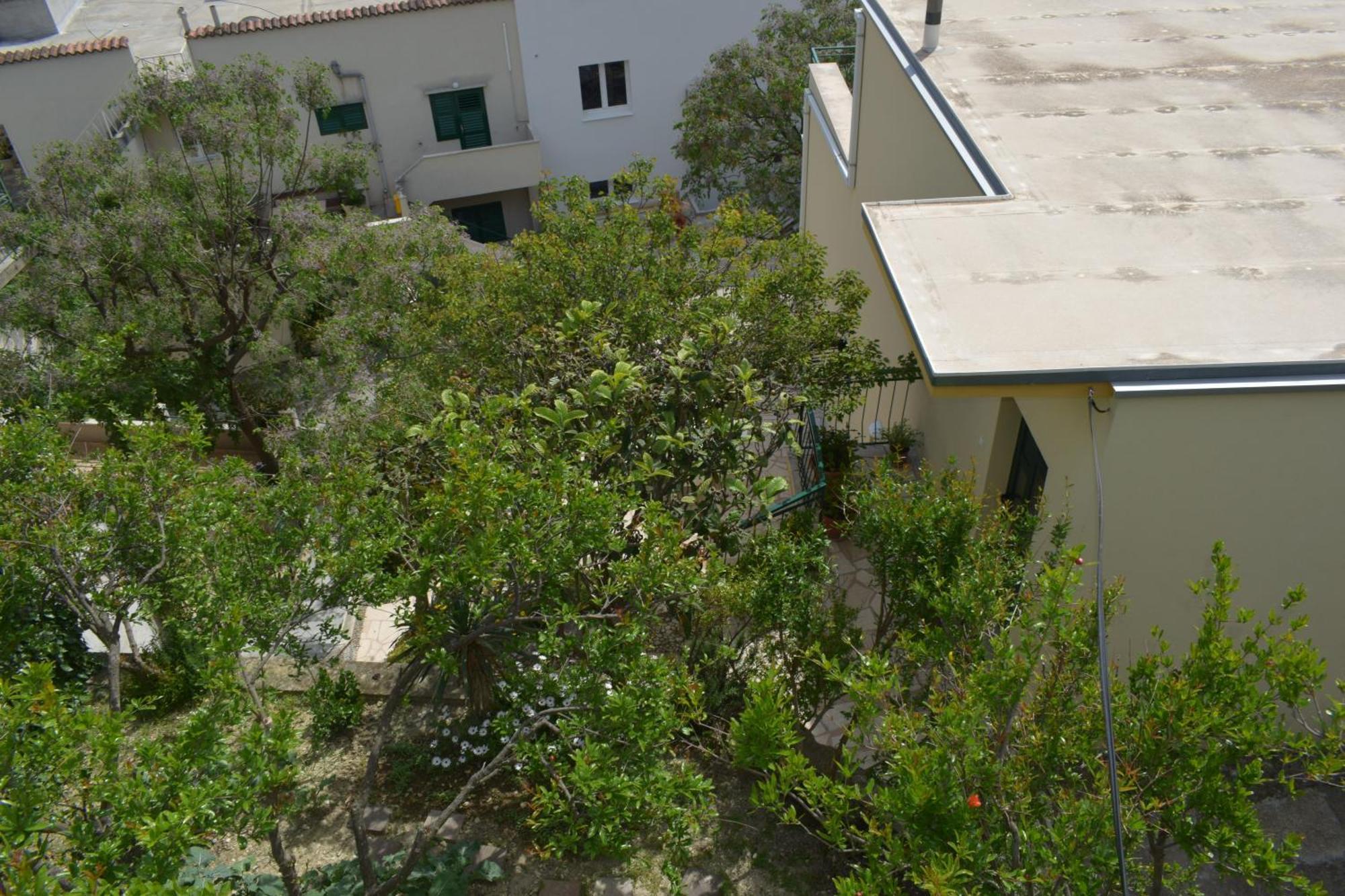 Apartment Antonella ماكارسكا المظهر الخارجي الصورة